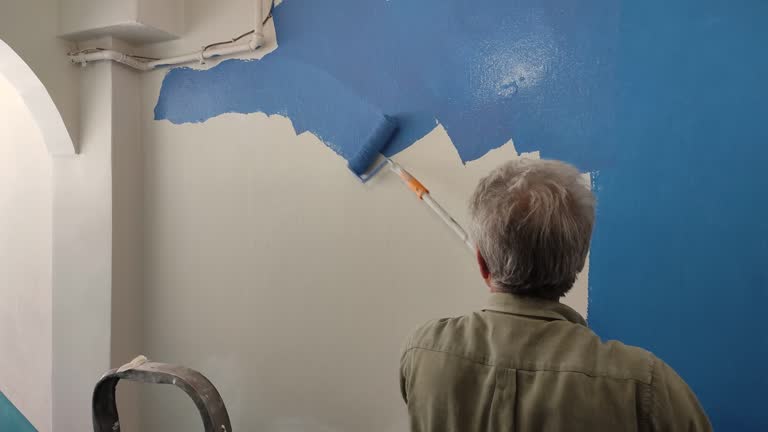 Best Drywall Sanding and Smoothing  in Roselawn, IN